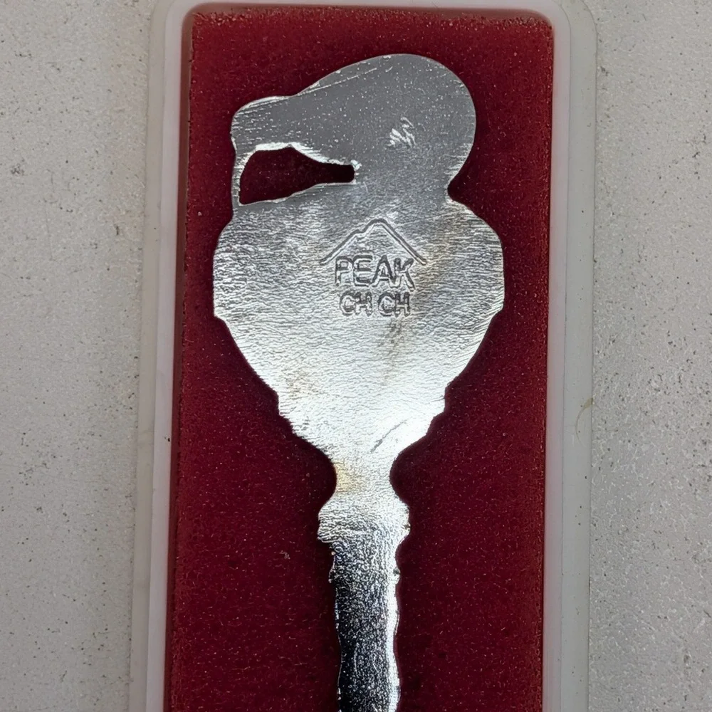 Peak CHCH New Zealand Kiwi Bird Souvenir Collector Spoon Silver Tone Map Bowl